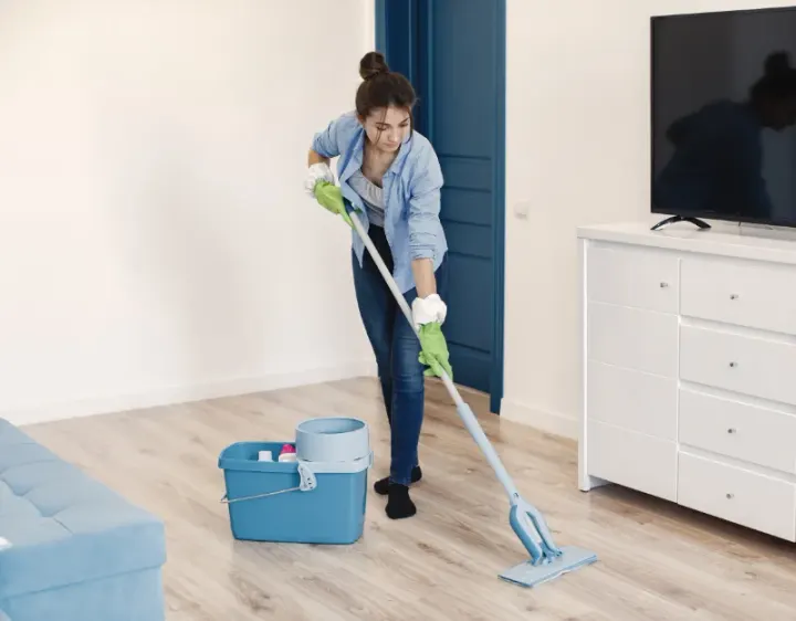 Femme de ménage Les Riceys